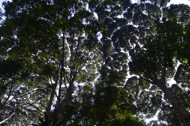 0209 DSC 5514